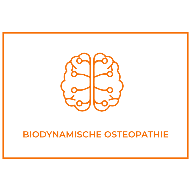 Biodynamische Osteopathie 